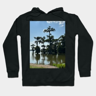 Swamp bird Hoodie